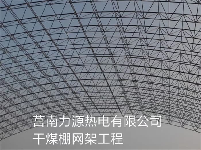 砀山力源热电有限公司干煤棚网架工程
